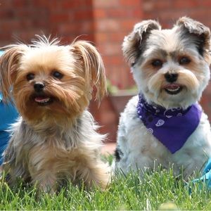 Meet your Posher, Wendy